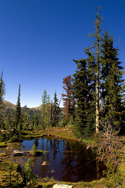 Red-Pond