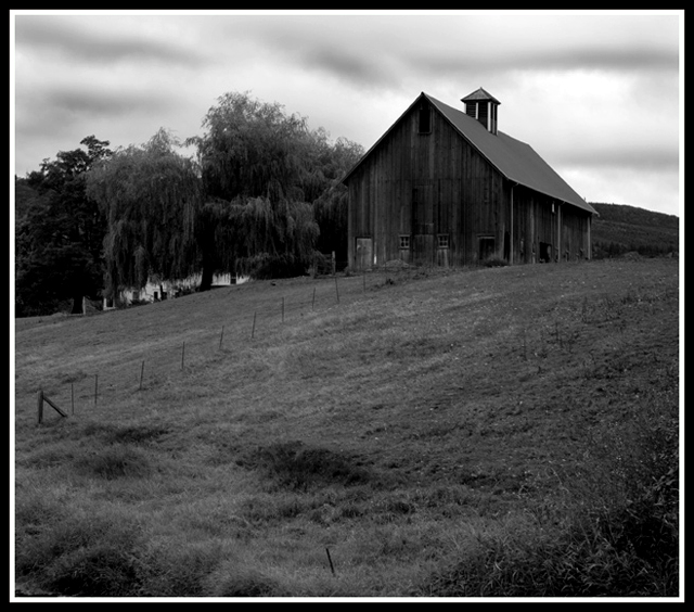 Barn in BW