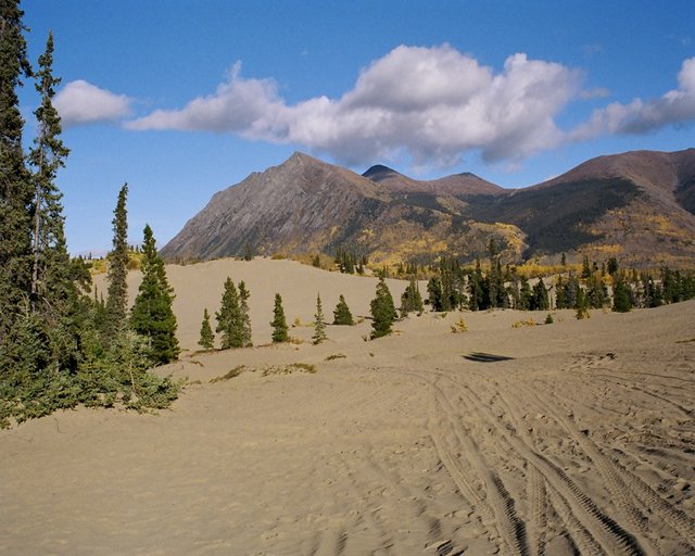 Northern Desert 1