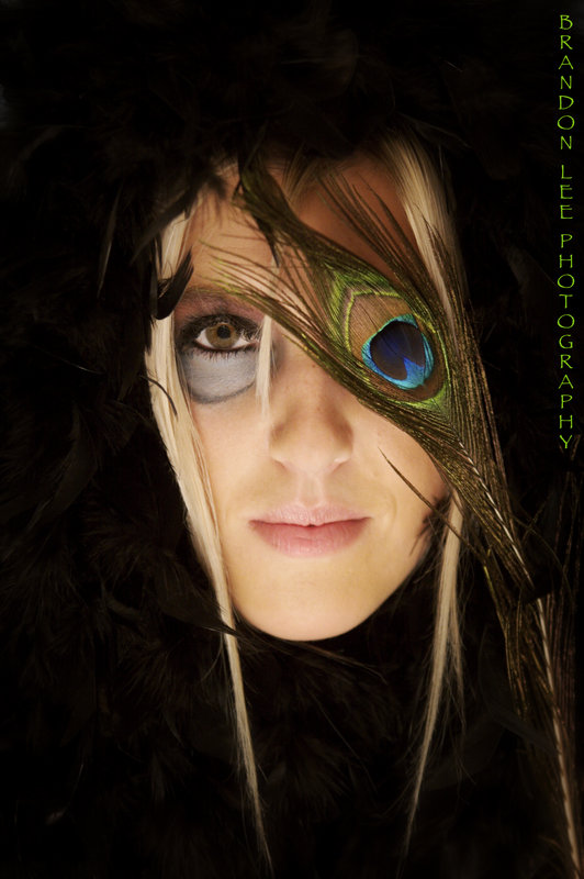 PEACOCK MODEL