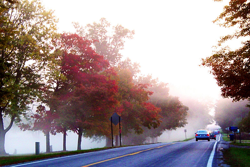 A foggy fall morning
