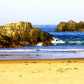 The Pacific