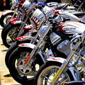 Dream Line-Up