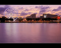 Brisbane Wheel