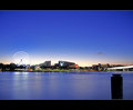 Brisbane Wheel
