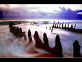 SS Dicky Wreck