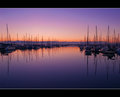 Manly Harbour
