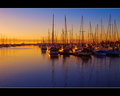 Manly Harbour