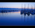 Manly Harbour