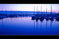 Manly Harbour