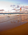 On Shore Breeze