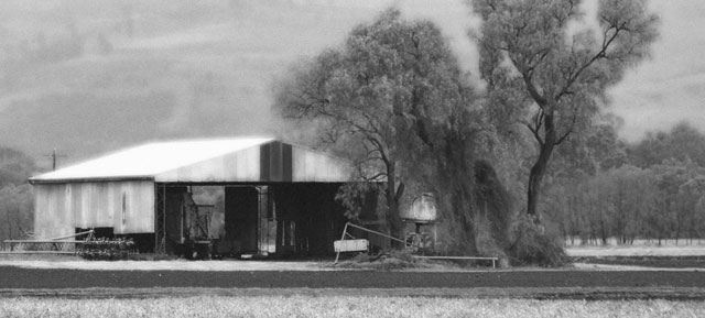 The Old Shed