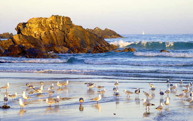 Seascape