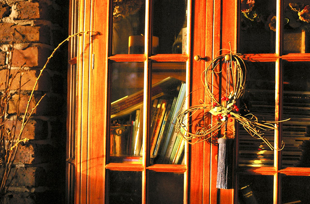 Afternoon Light