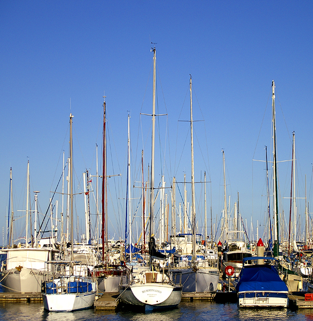 Manly Yachts III