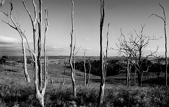 View to Warwick