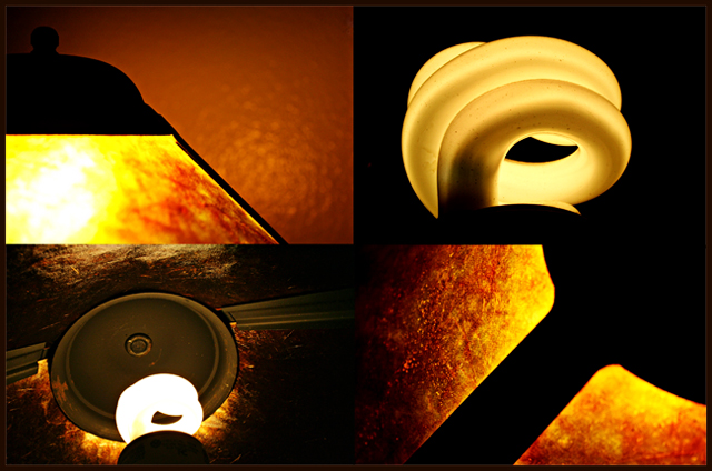 The Lamp