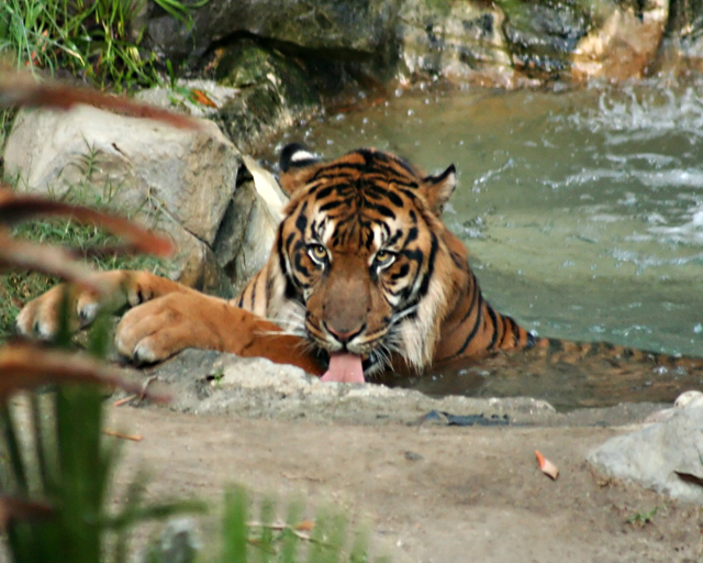 Thirst