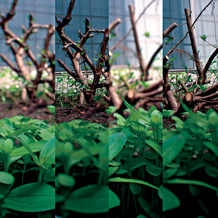 10: New Beginings