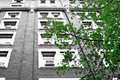 hotel and leaves