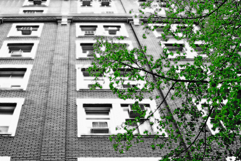 hotel and leaves