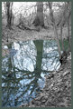 Reflections
