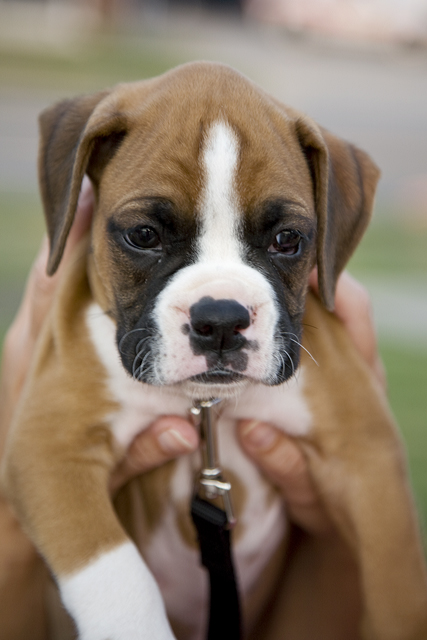 Awww, how cute!