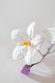Tiny Flowers