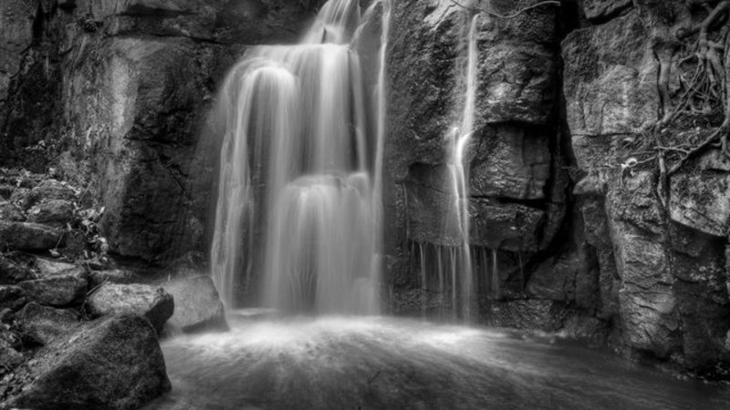 _DSC2274_5.jpg