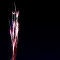 day 4 - fireworks tree.jpg