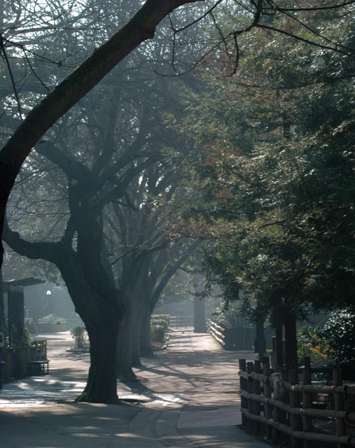 path
