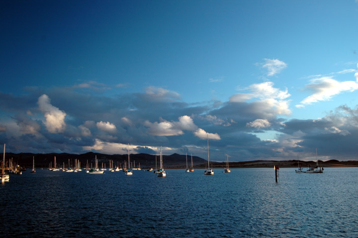 boats3.jpg