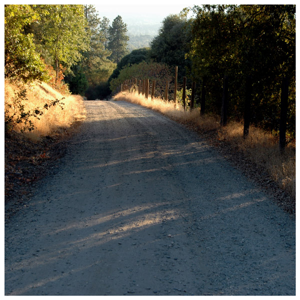 day 44 - road to a friend's house