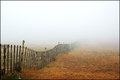Fenceline