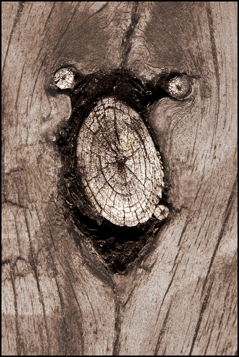 Abstract Emotion Reject