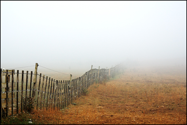 Fenceline
