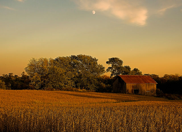 bean barn.jpg