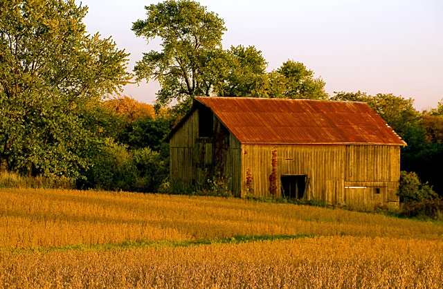 bean barn 2.jpg