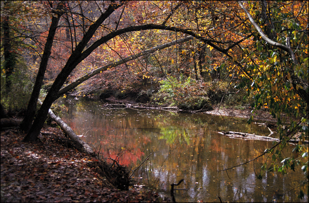 Reflections On Difficult Run