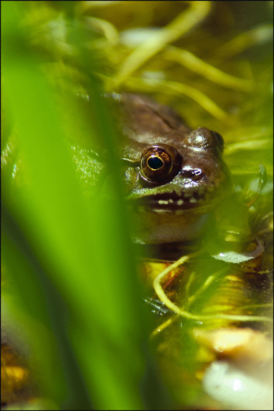 Here's Looking At You