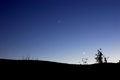 moonlight.jpg