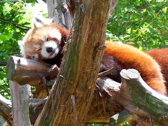Hanging Out