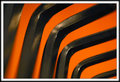 Day 17 - Tiger Striped