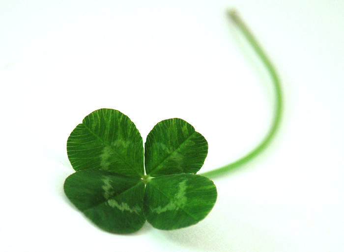 Good Luck