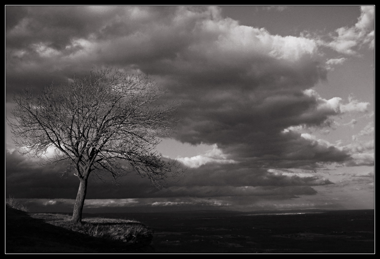 Clouds