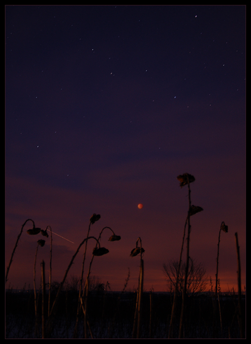 Total Lunar Eclipse