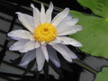 100-0044_IMG.JPG