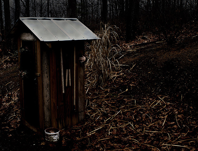 Behind the Shed
