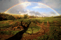 Givendale Rainbow