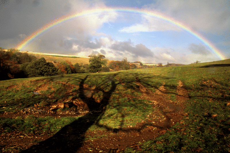 Givendale Rainbow
